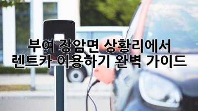 부여 장암면 상황리에서 렌트카 이용하기: 완벽 가이드
