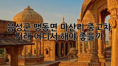 음성군 맹동면 마산리 중고차 거래, 어디서 해야 좋을까? 🤔