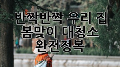✨ 반짝반짝 우리 집! 봄맞이 대청소 완전정복 🏡