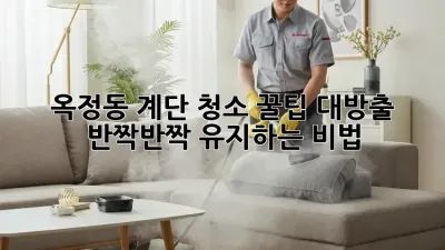 옥정동 계단 청소✨ 꿀팁 대방출! 반짝반짝 유지하는 비법